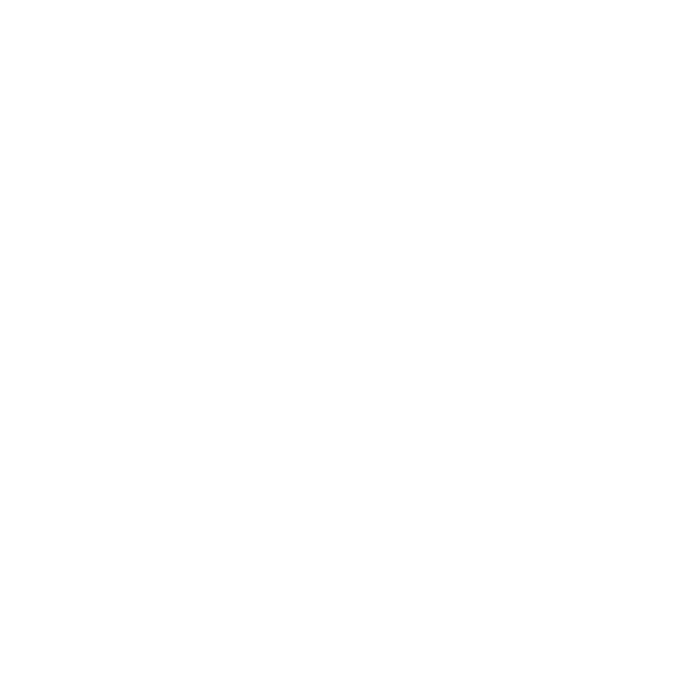 IX Logo